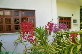 Orchid Sunset Guest House